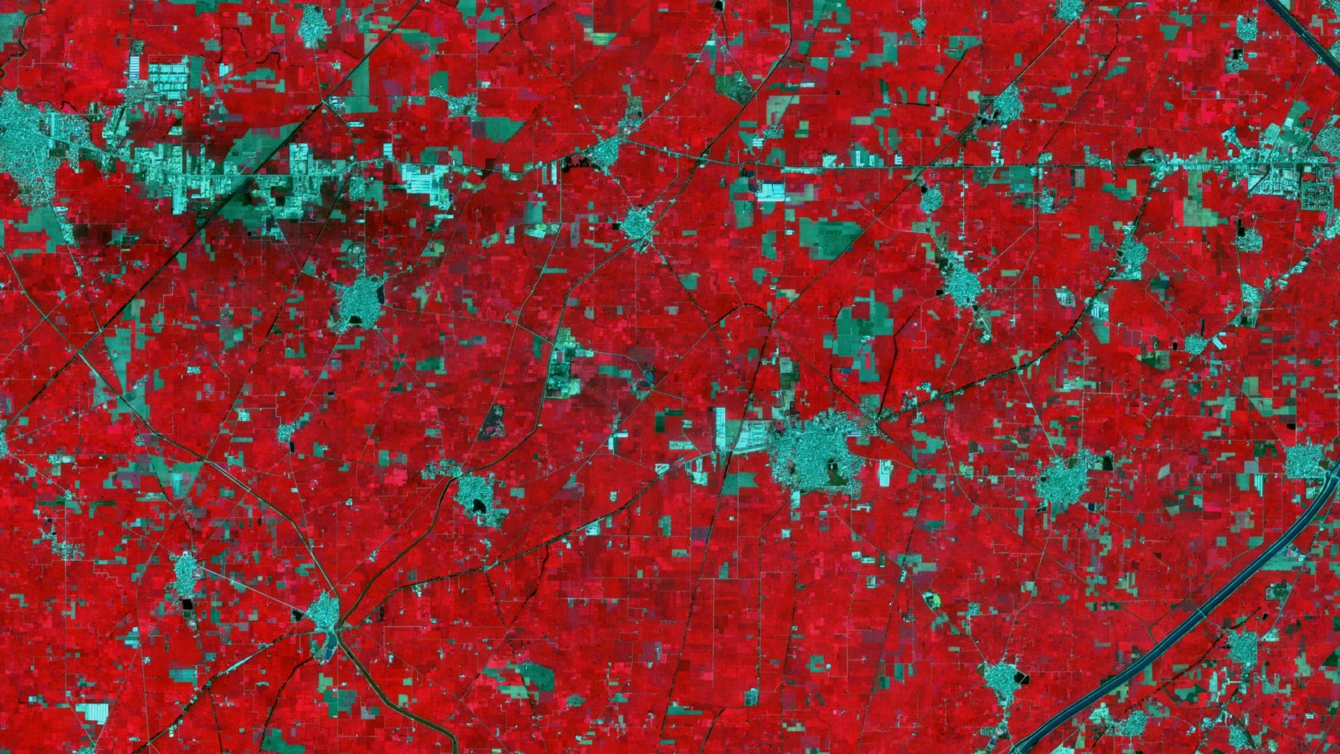Agriculture monitoring — example GIS output