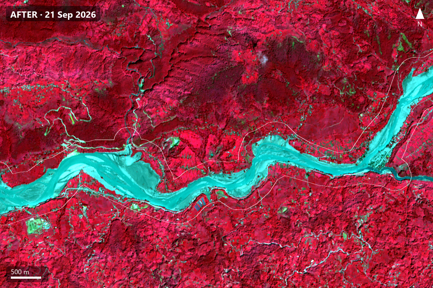 False-colour satellite view: red vegetation along a cyan river before, large cyan sediment areas replacing red vegetation after.