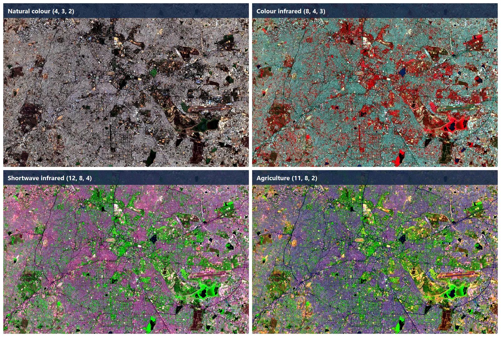 Four Sentinel-2 composites of the same area in a grid